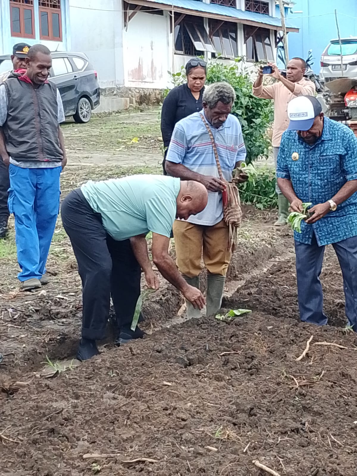 Dari Sekolah untuk Ketahanan Pangan: Gubernur Papua Tanam Sayur di SMU Negri 1 Ibub Distrik  Kemtuk Gresi